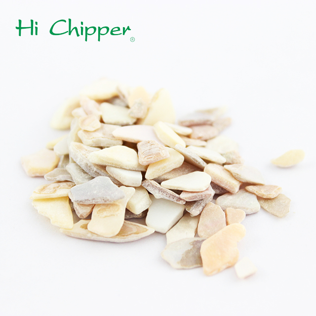 chips de concha de mar